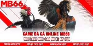 Game Đá Gà Online MB66 - Nơi Dành Cho Các Sư Kê Kỳ Cựu